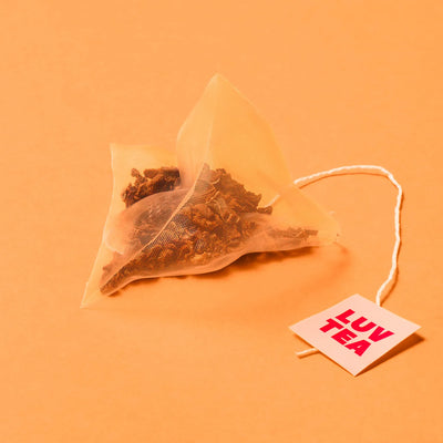 NOTHING BETTER Luv Tea Pumpkin (15 Tea Bags)