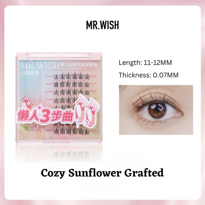MR WISH False Eyelashes Aestha Cosmetics