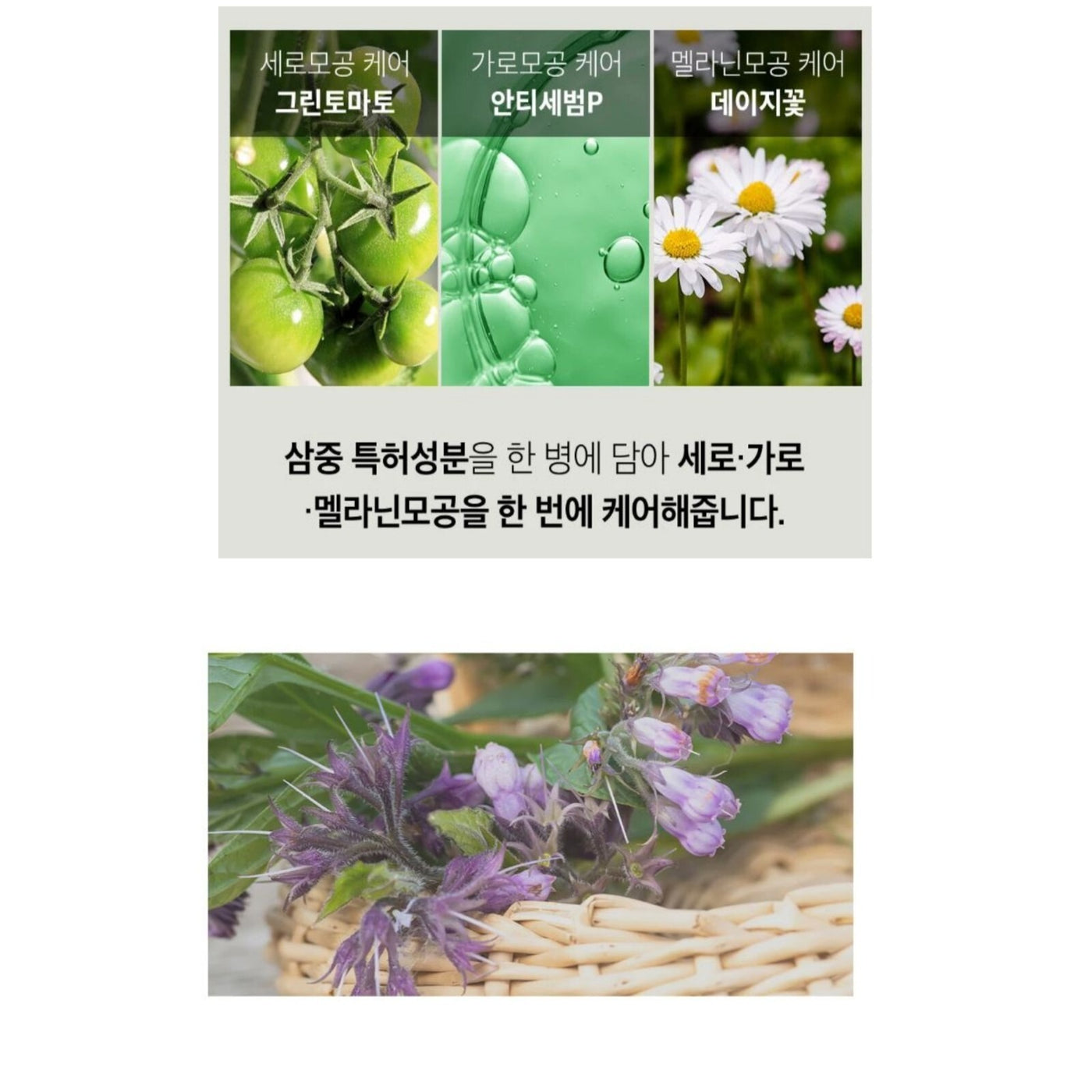 SUNGBOON EDITOR Green Tomato NMN Pore Lifting Ampoule 40ml Double Pack